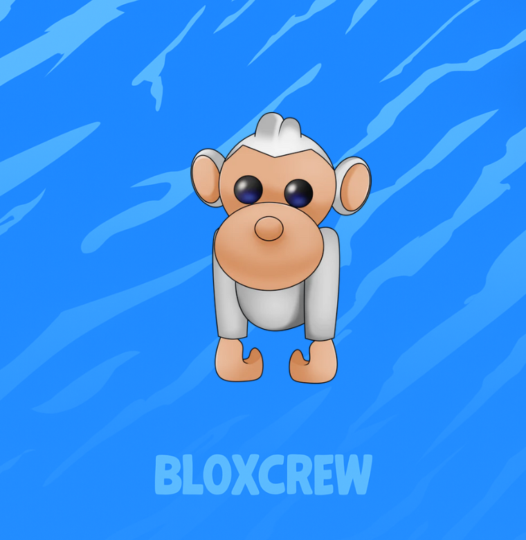 Albino Monkey