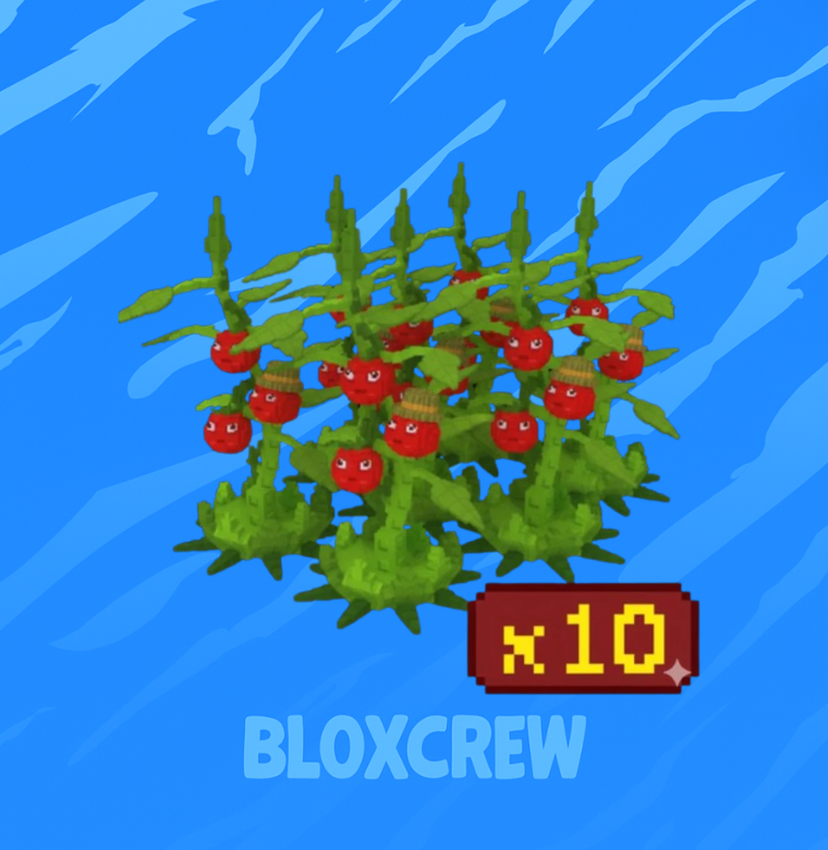 x10 Tomatrio Bundle