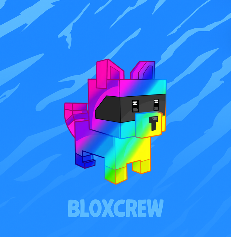 Rainbow Raccoon