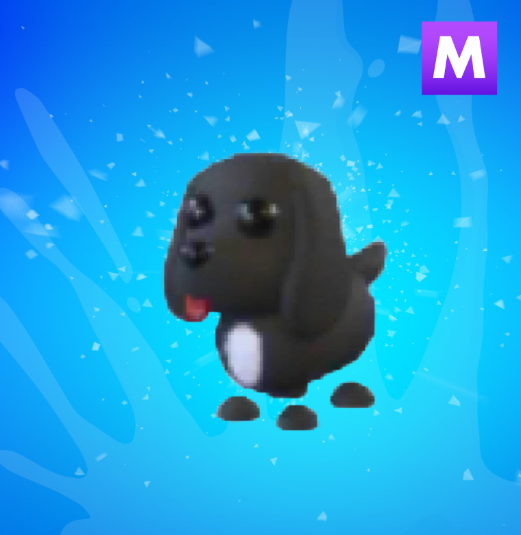 Mega Royal Palace Spaniel