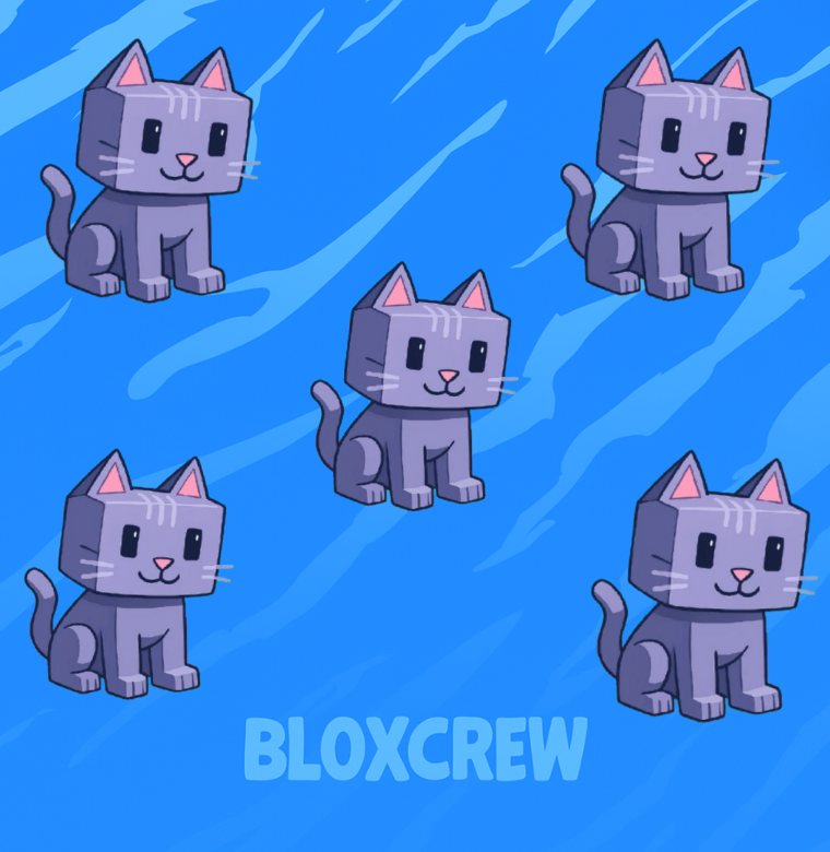5x Moon Cat Bundle