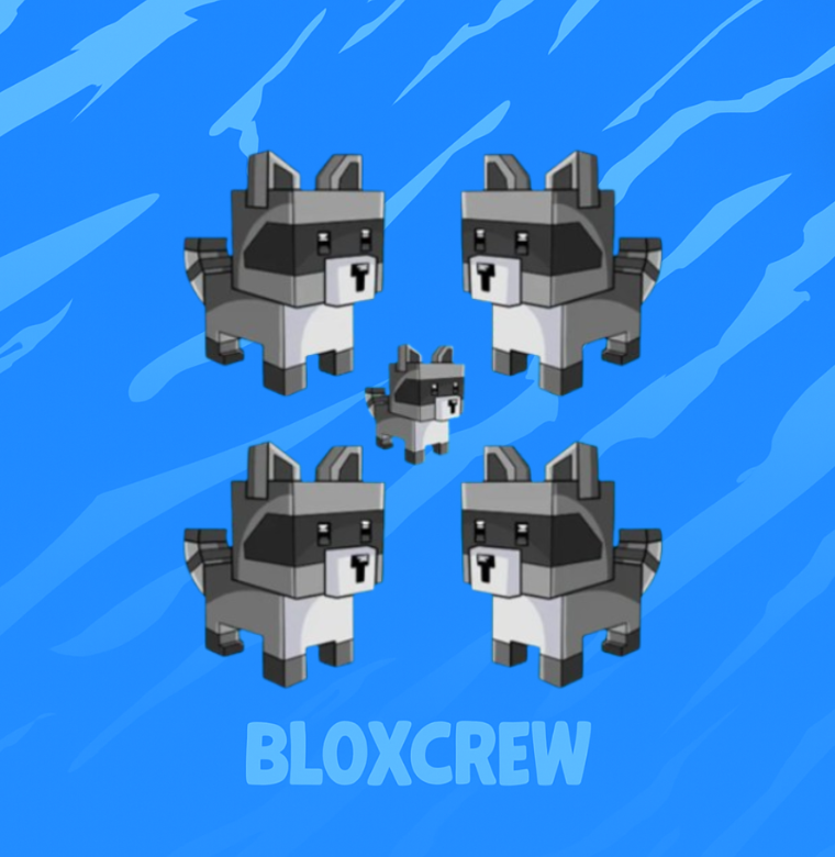 5x Raccoon Bundle