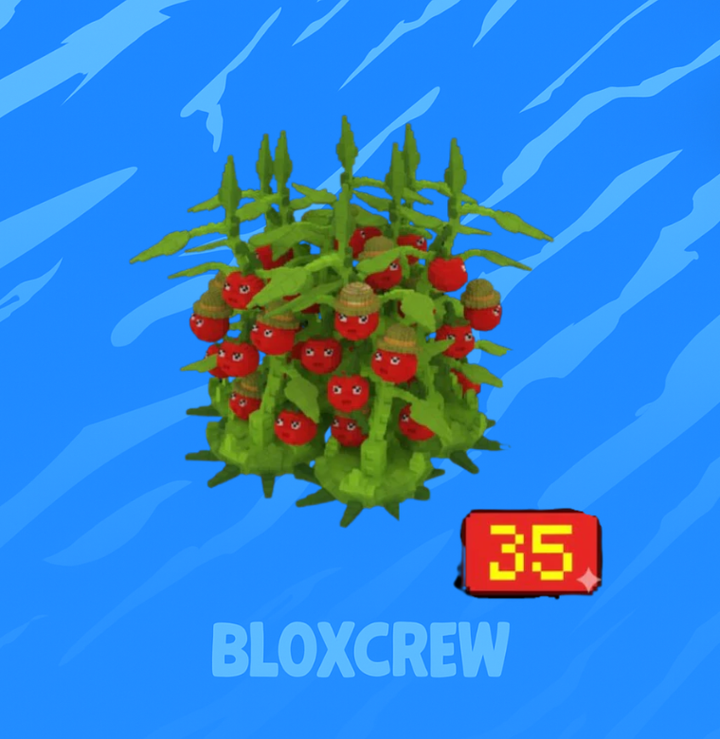 x35 Tomatrio Bundle