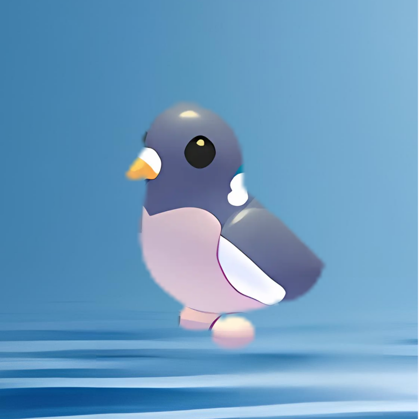 Wood Pigeon