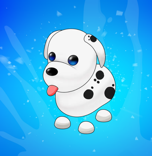 Dalmation
